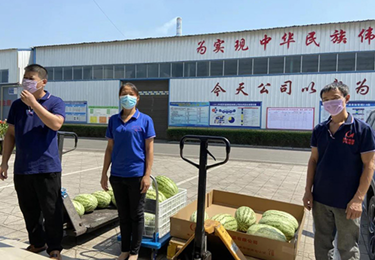 米兰官方网页版集团组织开展夏日送清凉系列活动